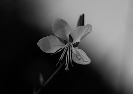 bernd-dittrich-VimkZud9FaA-unsplash